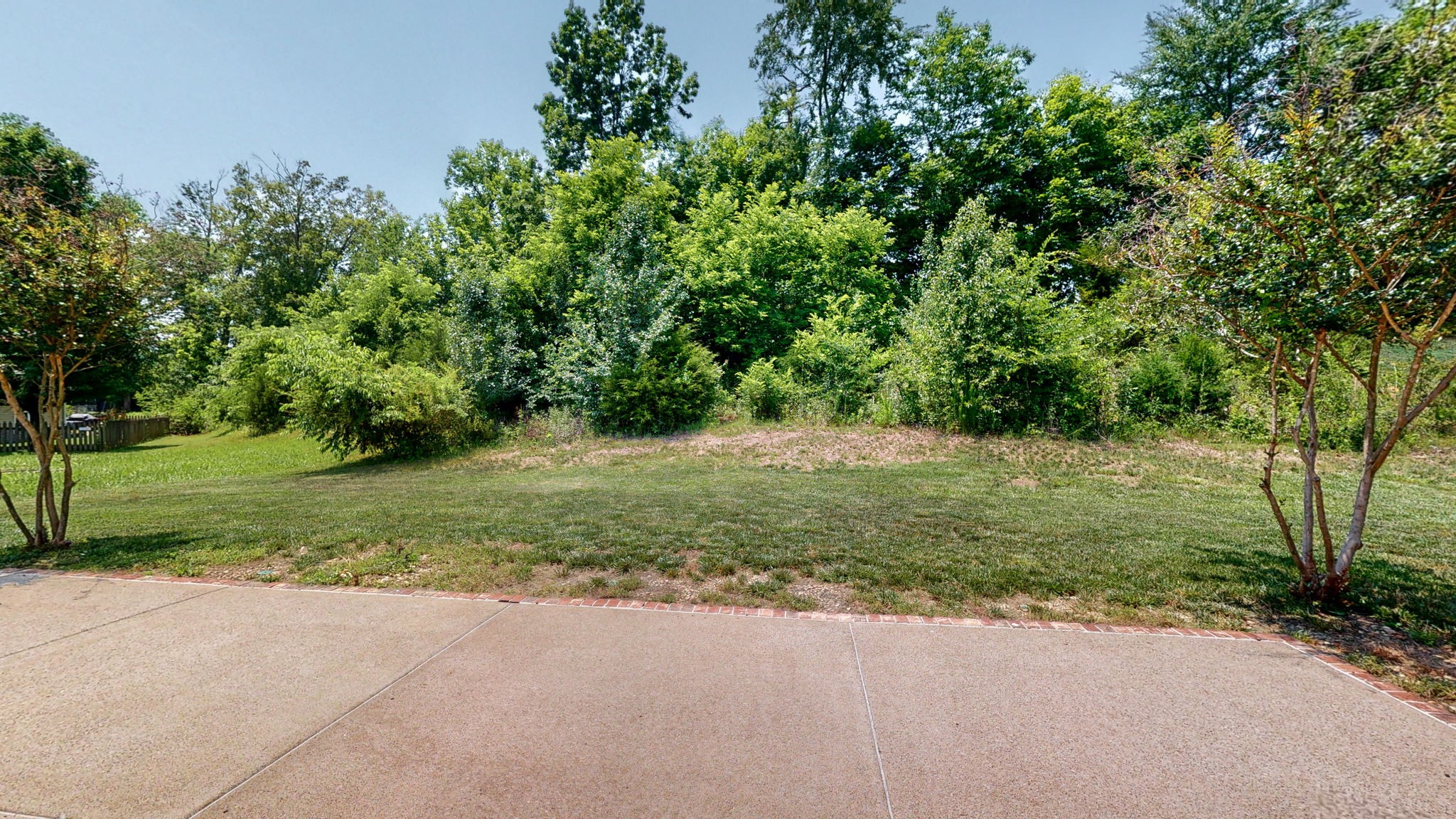 6025 Chickadee Circle Spring Hill, TN 37174 - Photo 36 of 44 a view of a yard with plants and trees