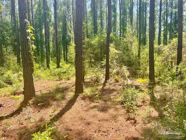 $119,900 | 182 Jay, Jay, FL 32565