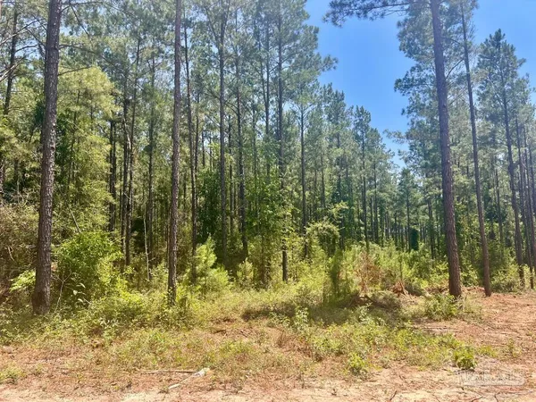 $119,900 | 182 Jay, Jay, FL 32565