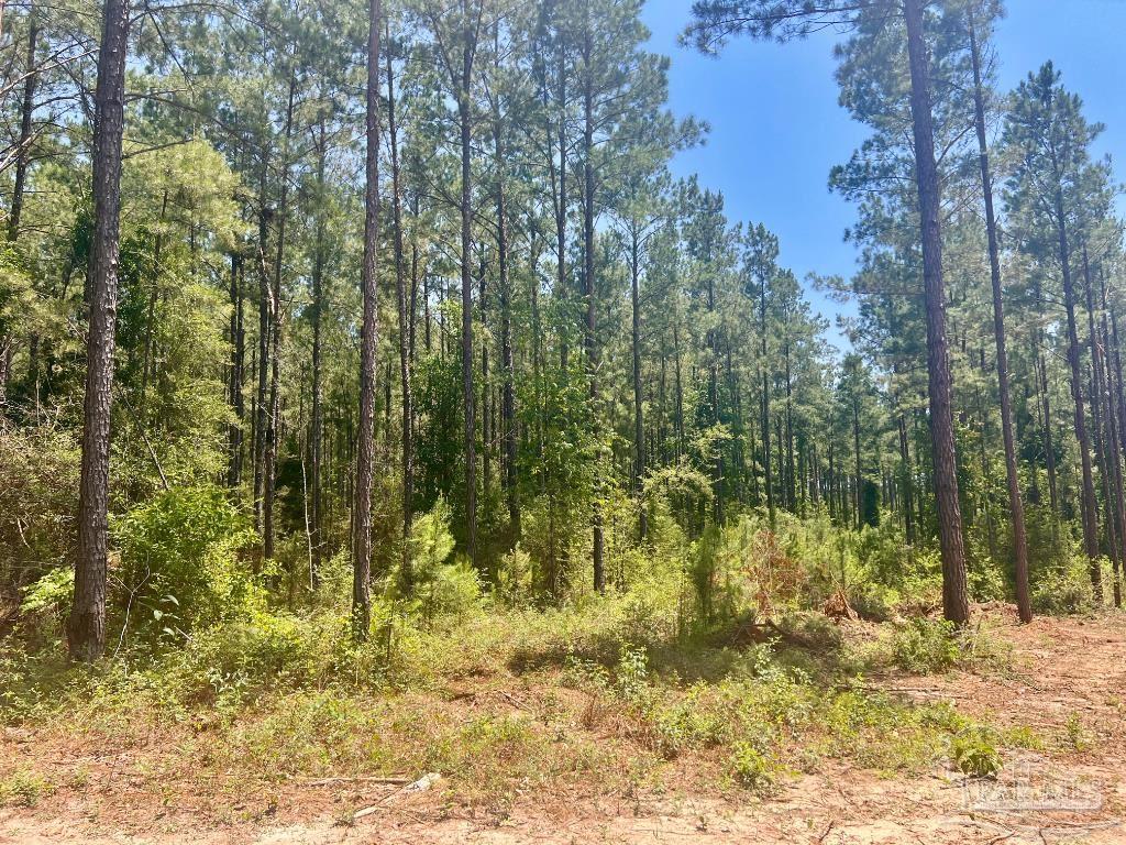 182 Jay Jay, FL 32565 - Photo 12 of 19 a view of lake view