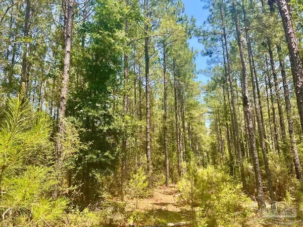 $119,900 | 182 Jay, Jay, FL 32565