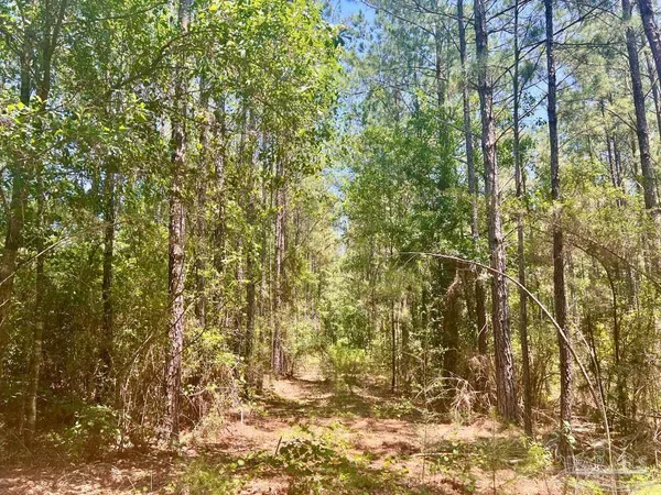 $119,900 | 182 Jay, Jay, FL 32565