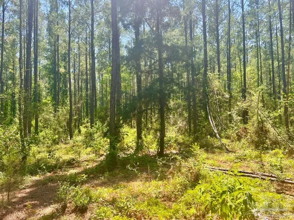 $119,900 | 182 Jay, Jay, FL 32565