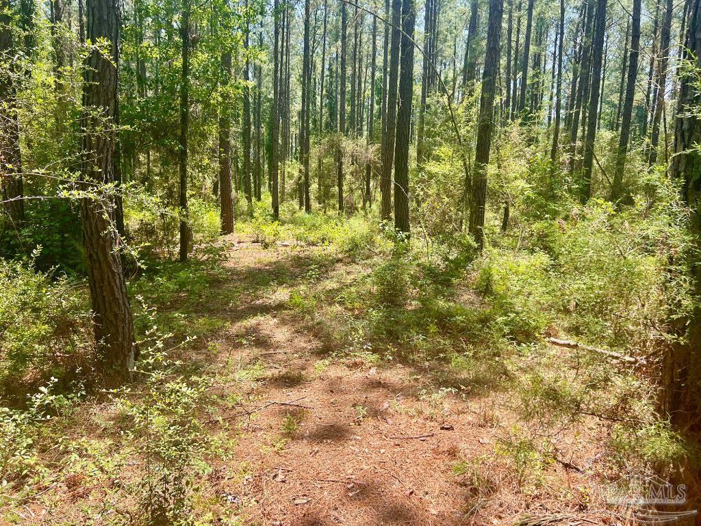 182 Jay Jay, FL 32565 - Photo 17 of 19