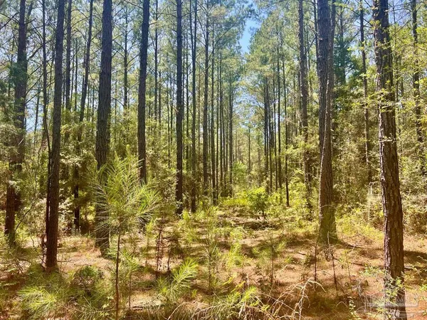 $119,900 | 182 Jay, Jay, FL 32565