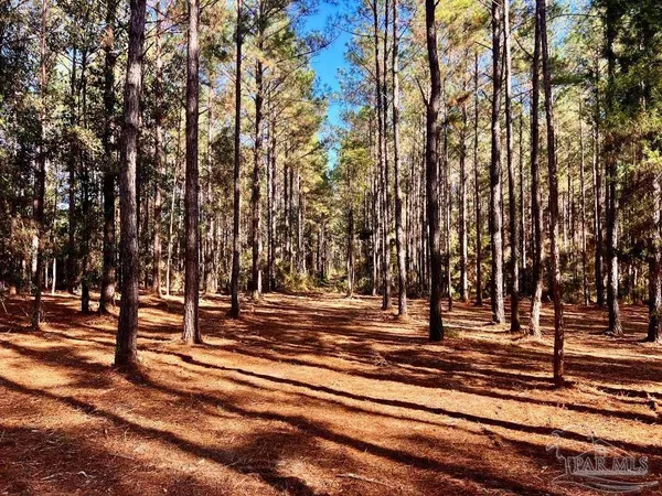 $119,900 | 182 Jay, Jay, FL 32565