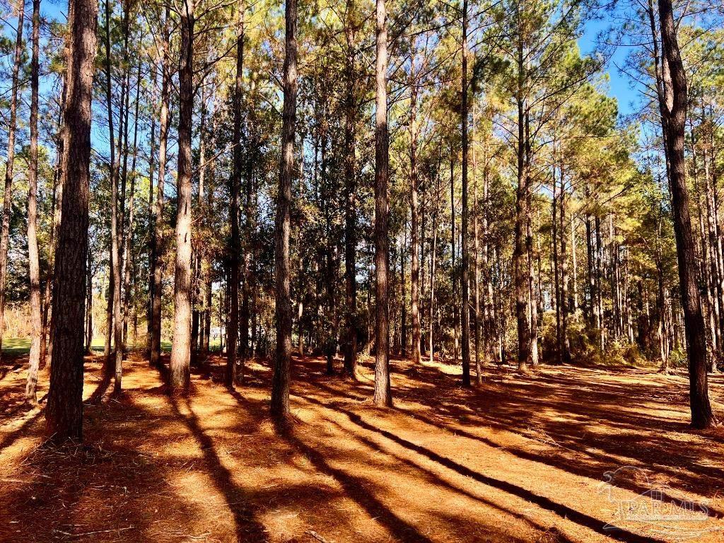 182 Jay Jay, FL 32565 - Photo 4 of 19 a view of outdoor space