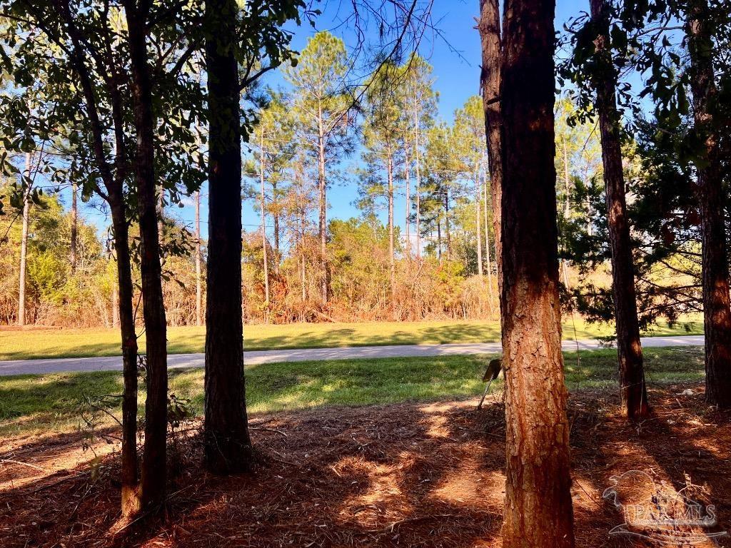 182 Jay Jay, FL 32565 - Photo 5 of 19 a view of back yard