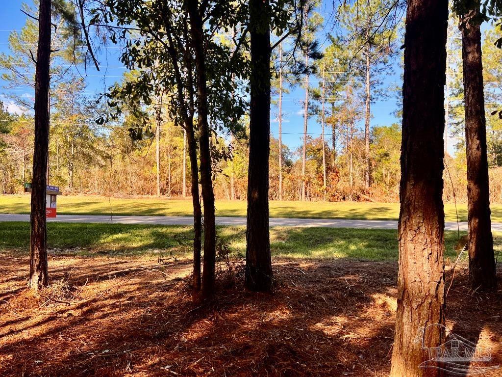 182 Jay Jay, FL 32565 - Photo 7 of 19 a view of a yard with an tree