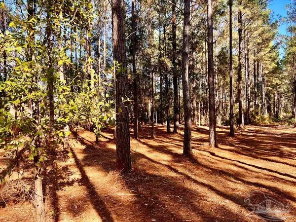 $119,900 | 182 Jay, Jay, FL 32565