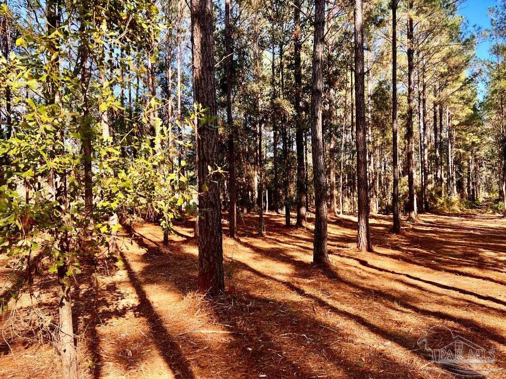 182 Jay Jay, FL 32565 - Photo 8 of 19 a view of park with tree