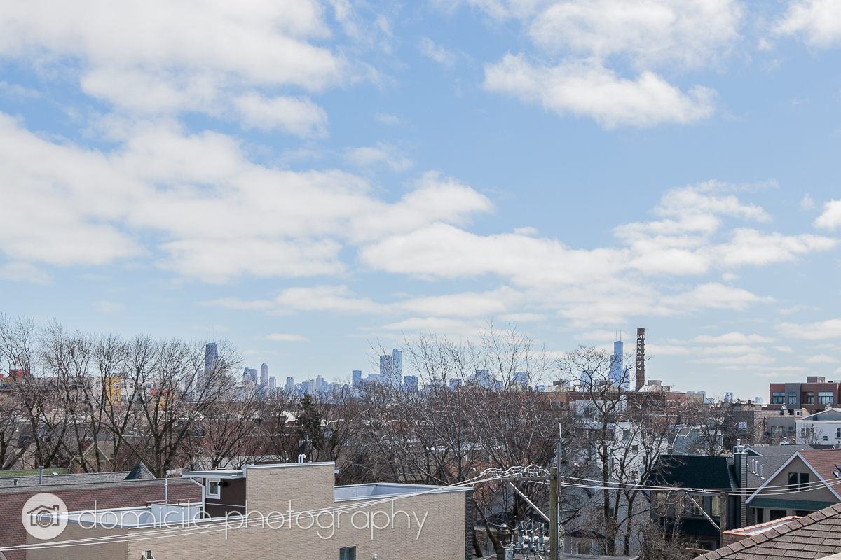 Undisclosed Address Chicago, IL 60618 - Photo 17 of 20 a view of a city