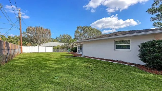 a view of a backyard with plants and a large tree