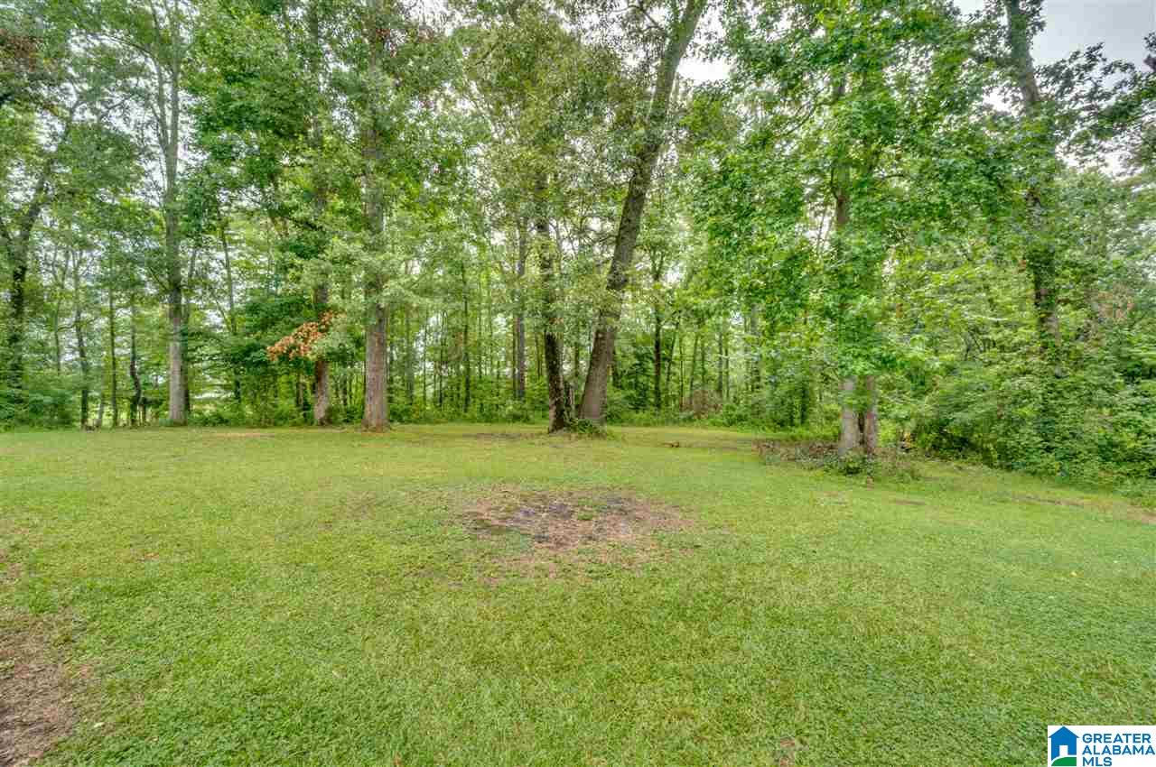 2995 County Road 77 Clanton, AL 35045 - Photo 36 of 50