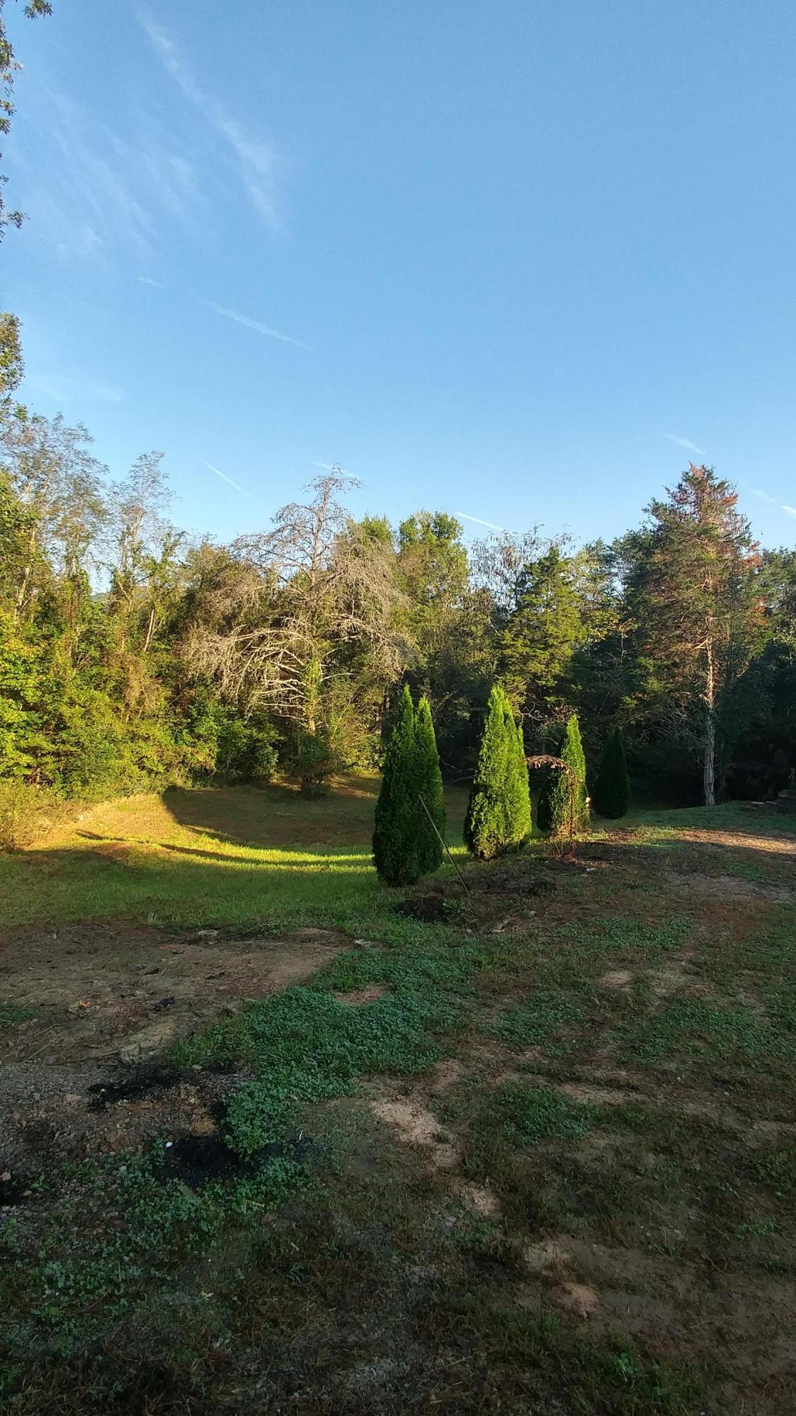 247 Chartier Lane Bean Station, TN 37708 - Photo 12 of 15 1008180910a_HDR