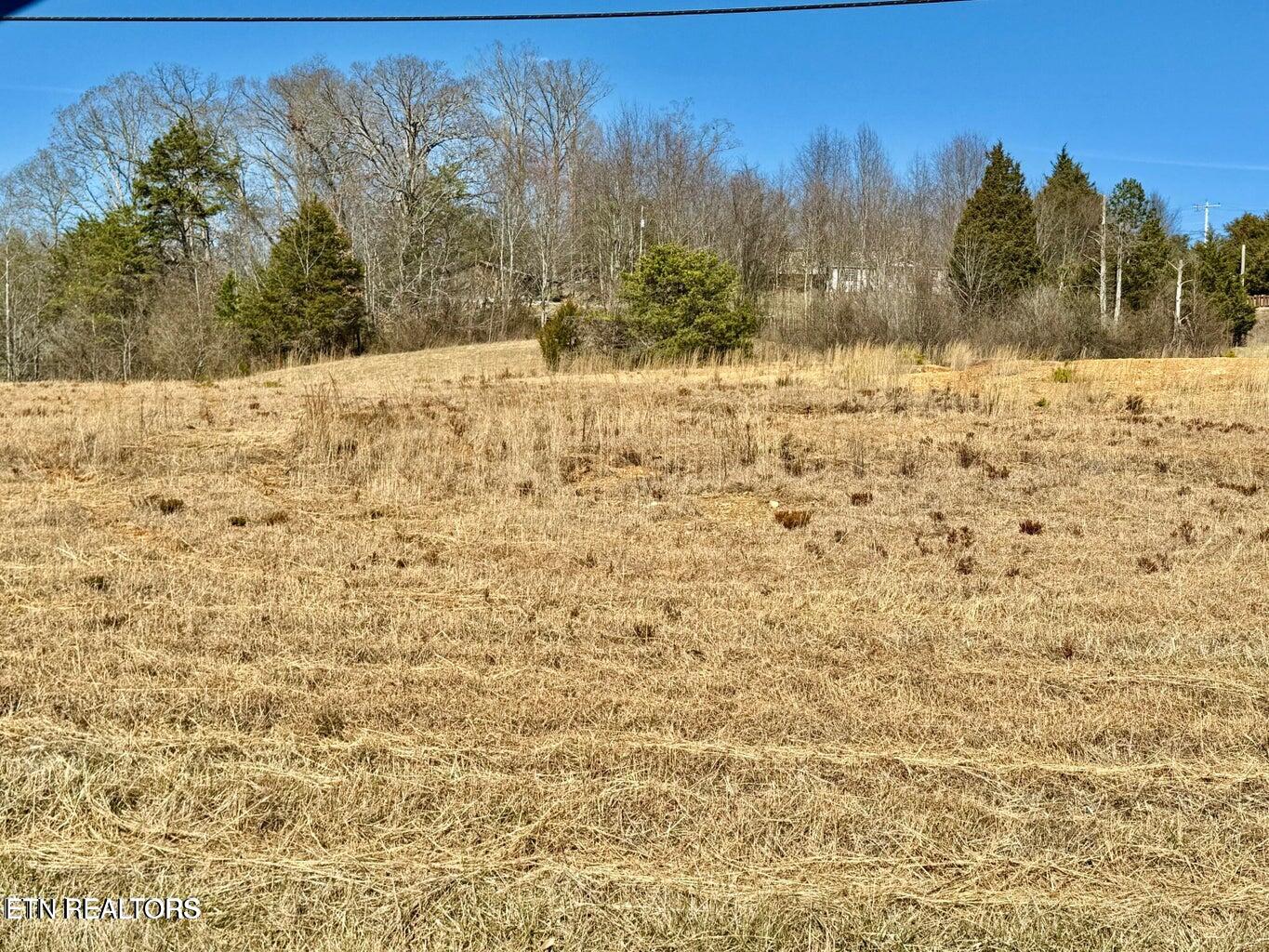 Harmon Road New Tazewell, TN 37825 - Photo 11 of 12 20250210173507993145000000-o