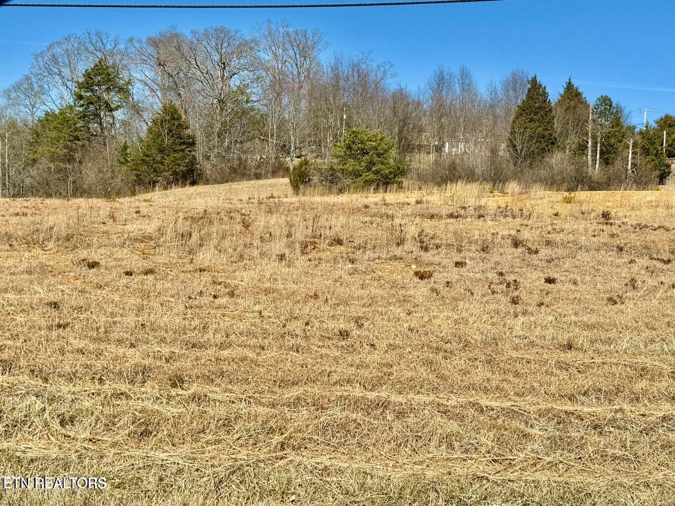 Harmon Road New Tazewell, TN 37825 - Photo 12 of 12 20250210173435926444000000-o
