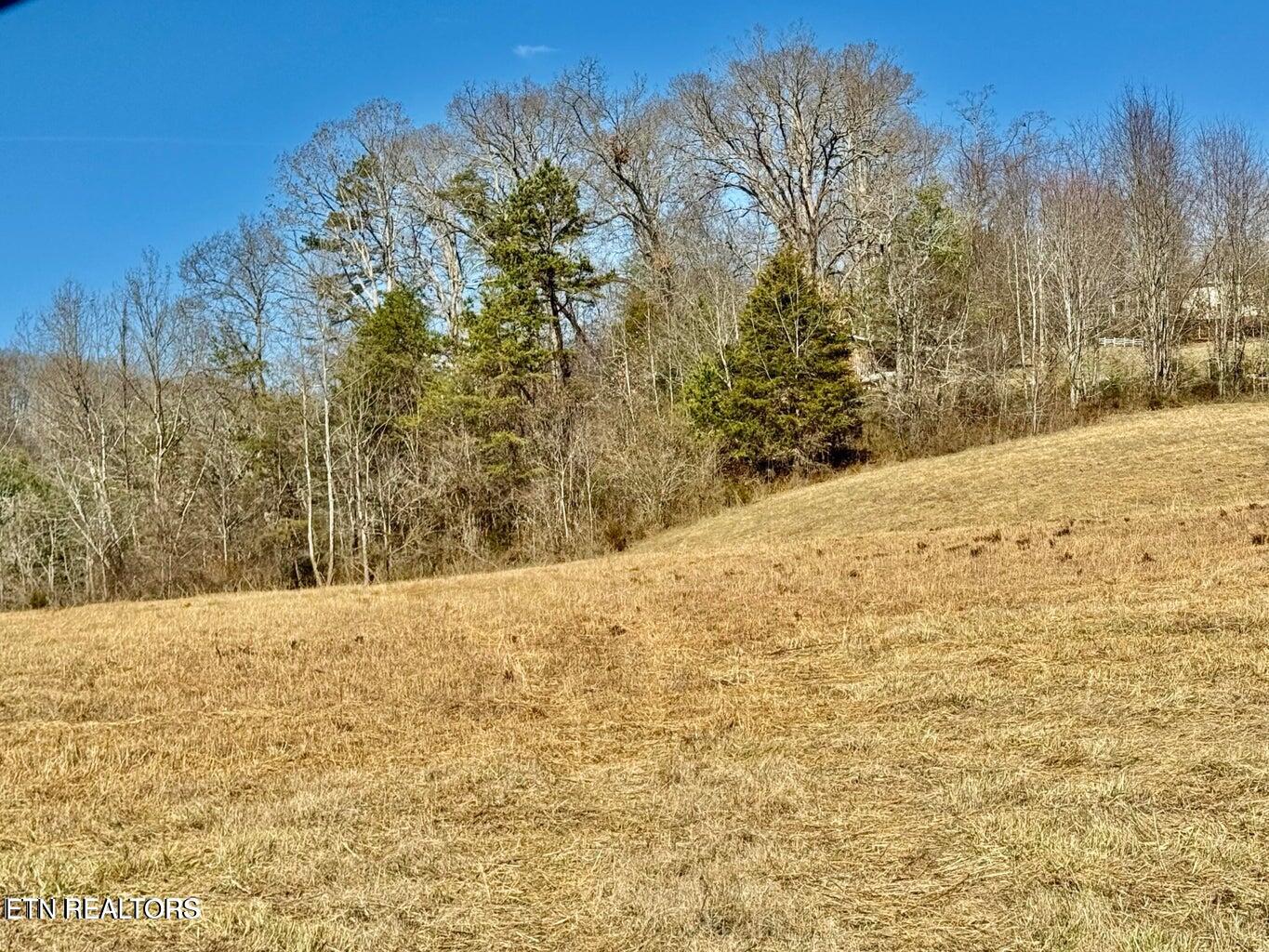 Harmon Road New Tazewell, TN 37825 - Photo 10 of 12 20250210173522418990000000-o