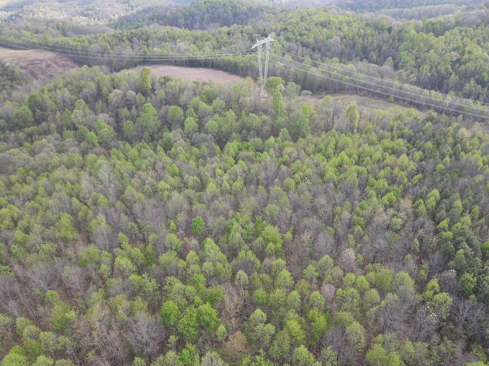 0 Pyle Road Lucasville, OH 45648 - Photo 13 of 26 pic 13