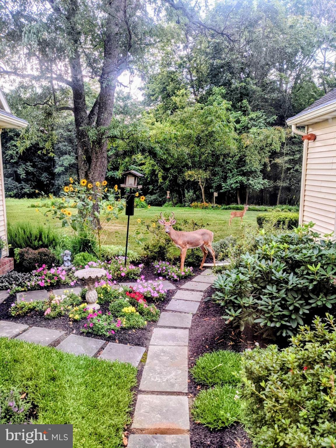 475 Sand Hill Road Pequea, PA 17565 - Photo 41 of 54 a view of a garden with flowers and trees