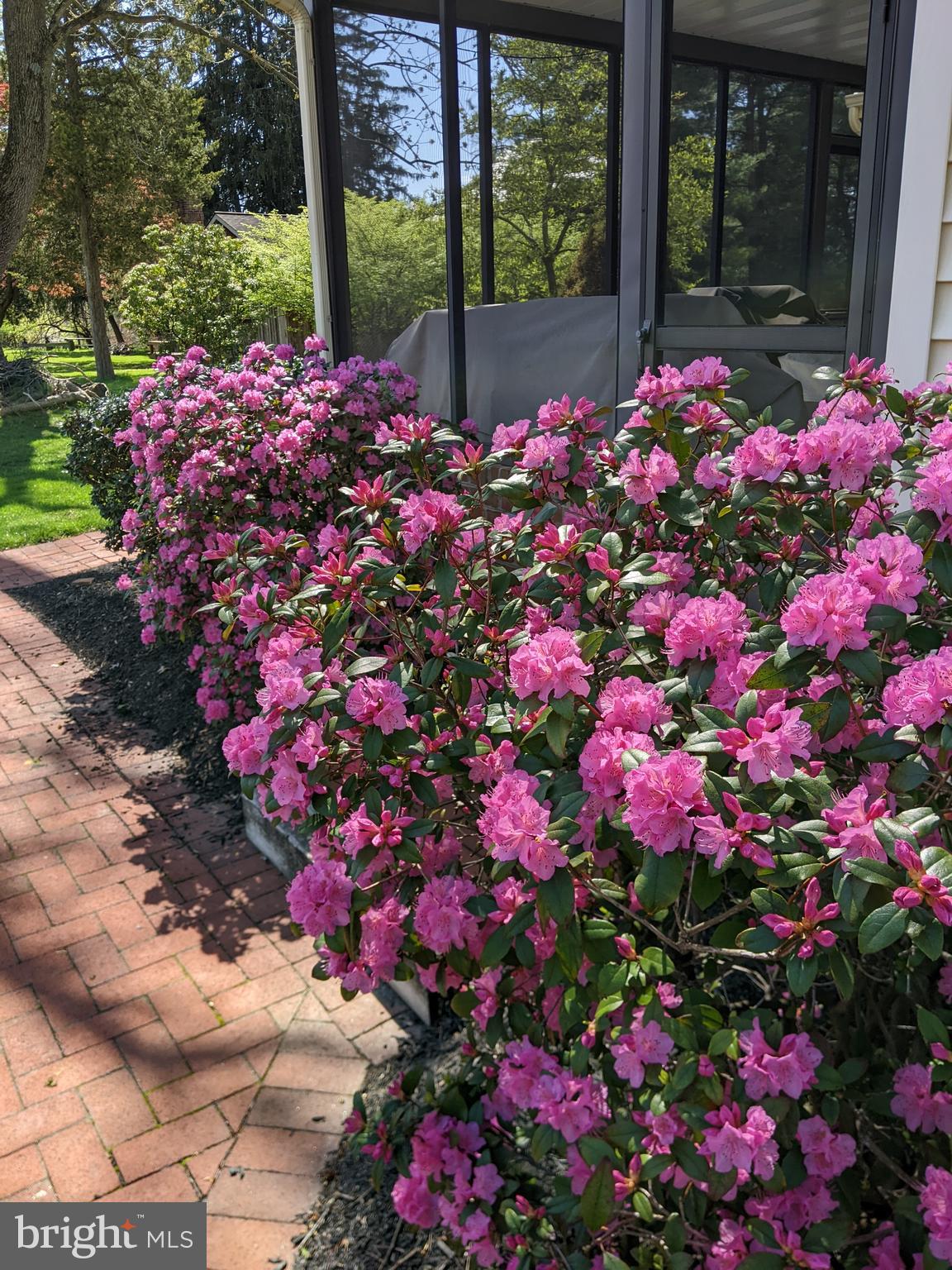475 Sand Hill Road Pequea, PA 17565 - Photo 44 of 54 Beautiful Blooms