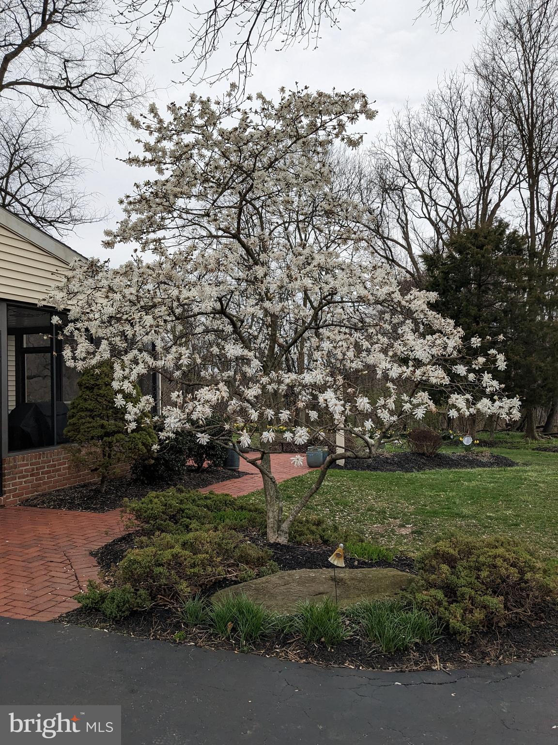 475 Sand Hill Road Pequea, PA 17565 - Photo 45 of 54 Beautiful Blooms