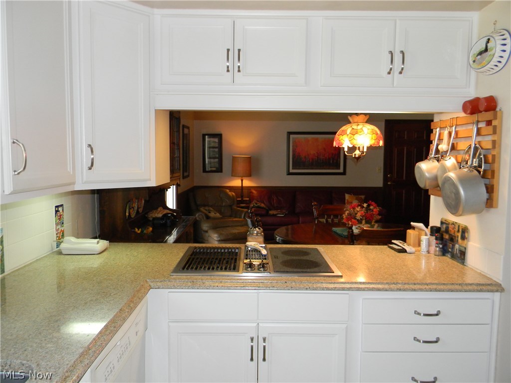 197 Hurd Road Aurora, OH 44202 - Photo 5 of 20 Gallery Image 5
