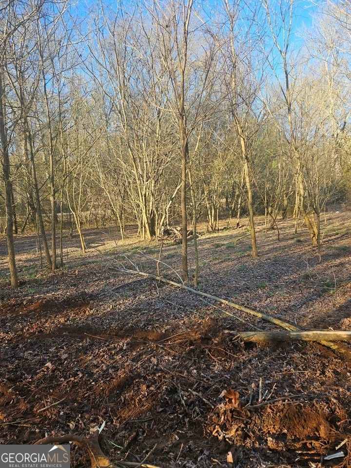 0 Lebanon Church Road Jefferson, GA 30549 - Photo 3 of 15