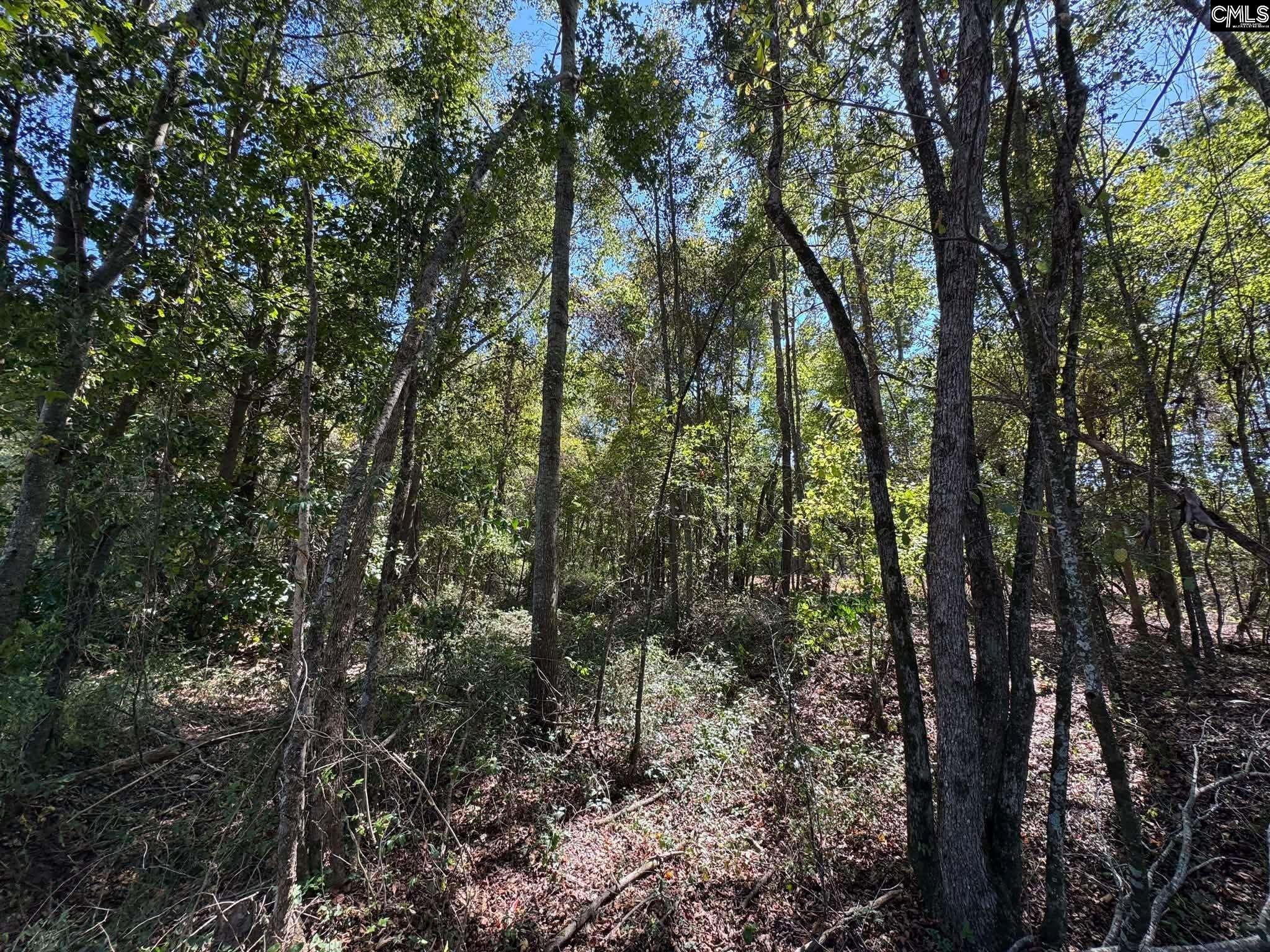 St Matthews Church Road Sumter, SC 29153 - Photo 21 of 34 Gallery Image 21