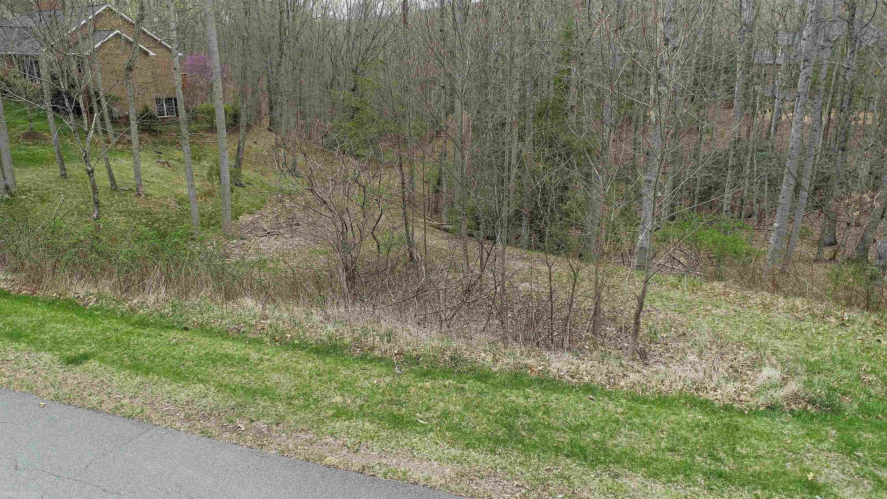 1115 Treetop Ridge Road Blacksburg, VA 24060 - Photo 11 of 26 Gallery Image 11