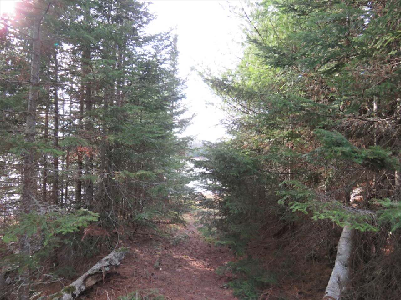 Near Murphy Lake Road Presque Isle, WI 54557 - Photo 3 of 19 Gallery Image 3