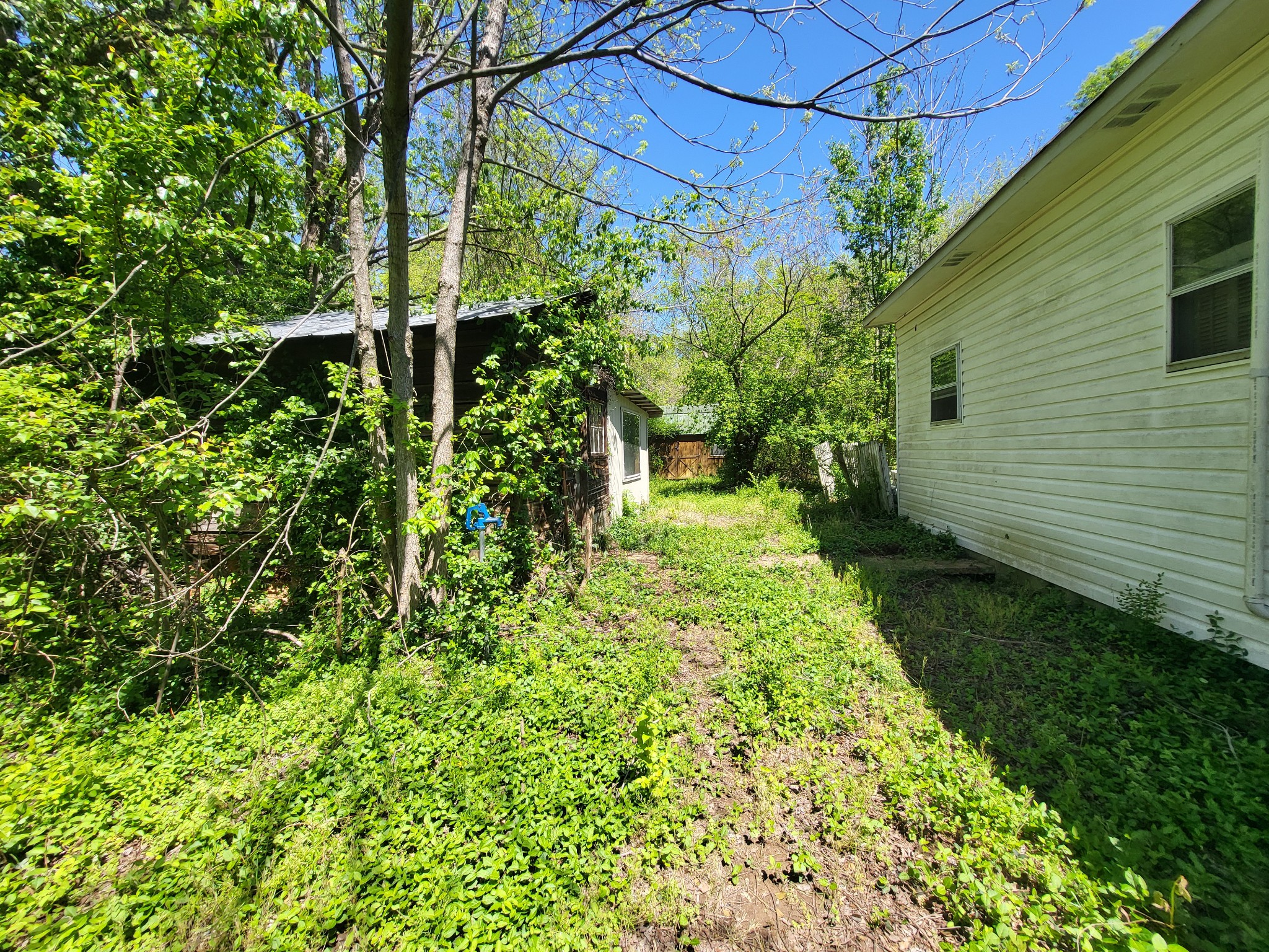2419 Maple Street Chattanooga, TN 37406 - Photo 11 of 32 a view of a backyard with plants