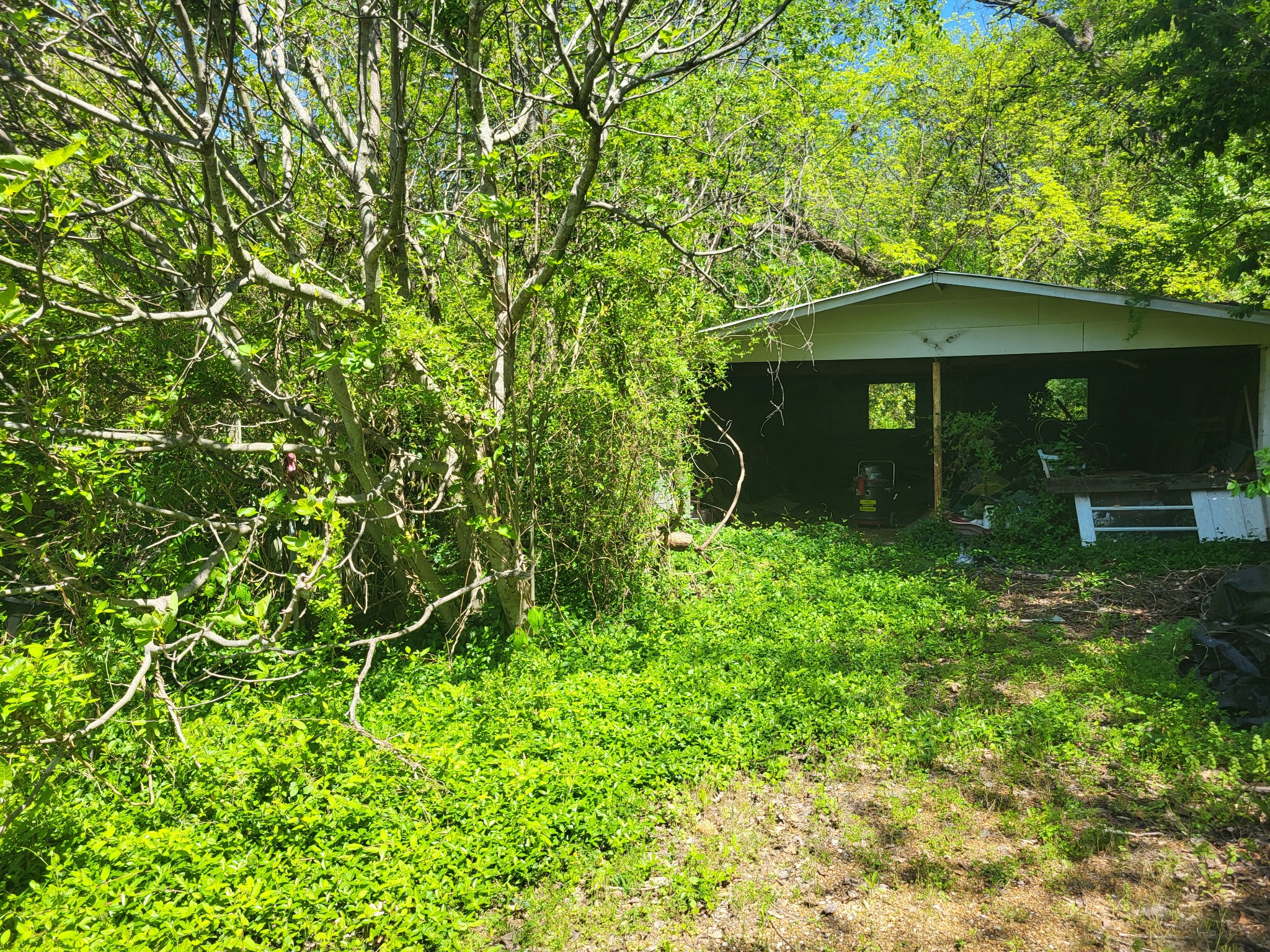 2419 Maple Street Chattanooga, TN 37406 - Photo 25 of 32 a view of a garden