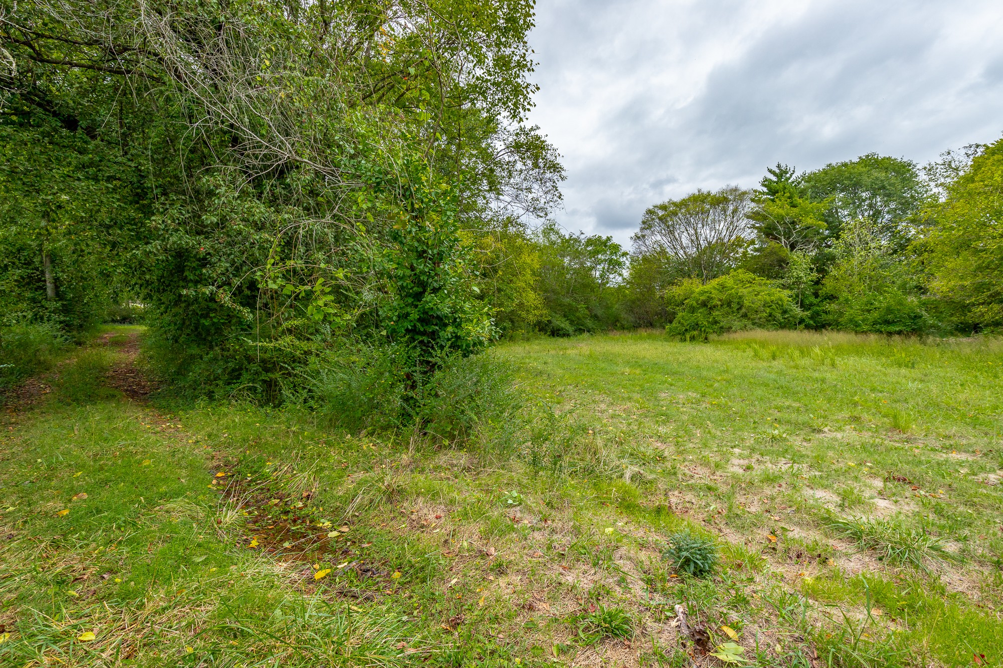 2419 Maple Street Chattanooga, TN 37406 - Photo 27 of 32 a view of yard with green space