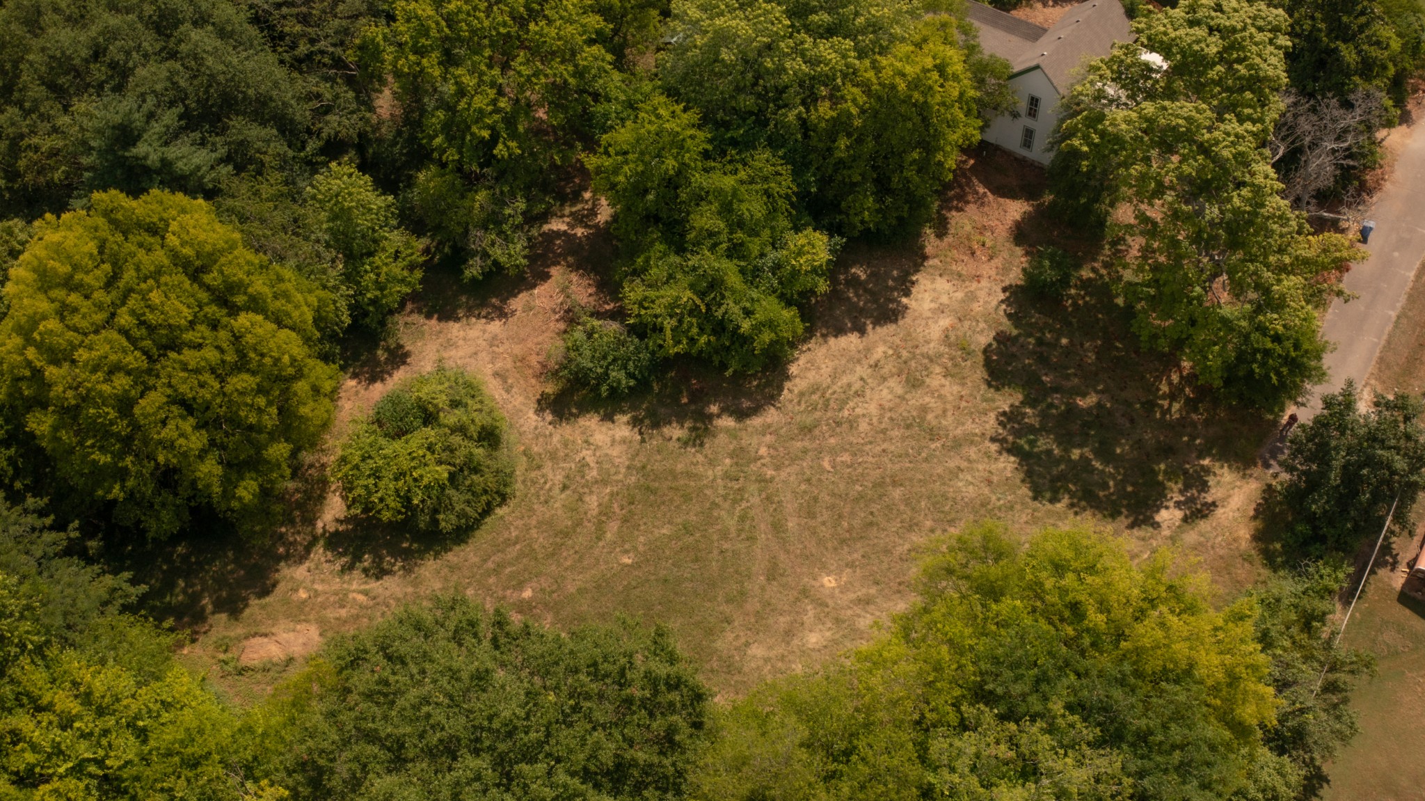 2419 Maple Street Chattanooga, TN 37406 - Photo 30 of 32 a view of a yard with plants and tree