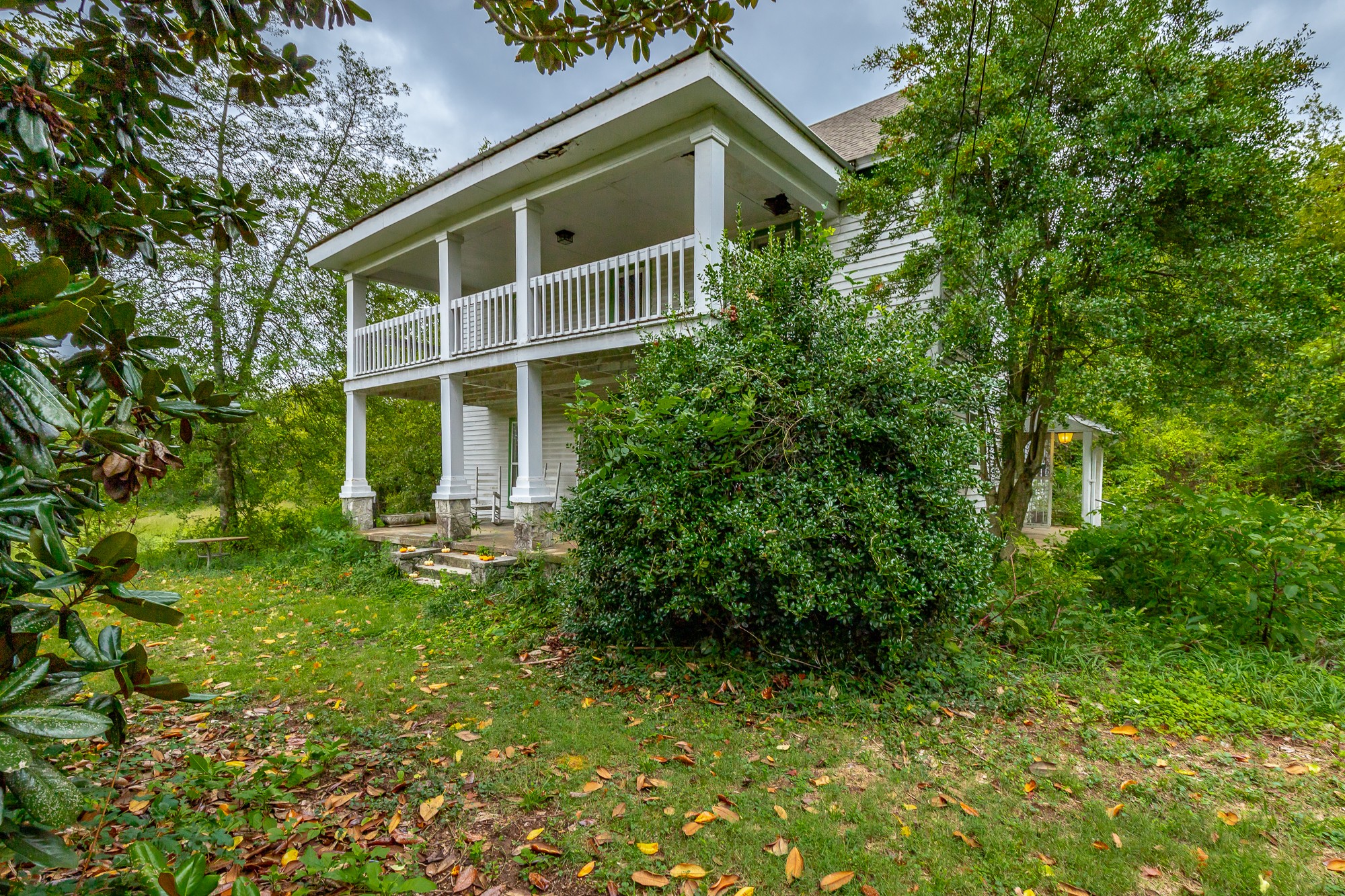 2419 Maple Street Chattanooga, TN 37406 - Photo 3 of 32 a view of a house with a yard and plants