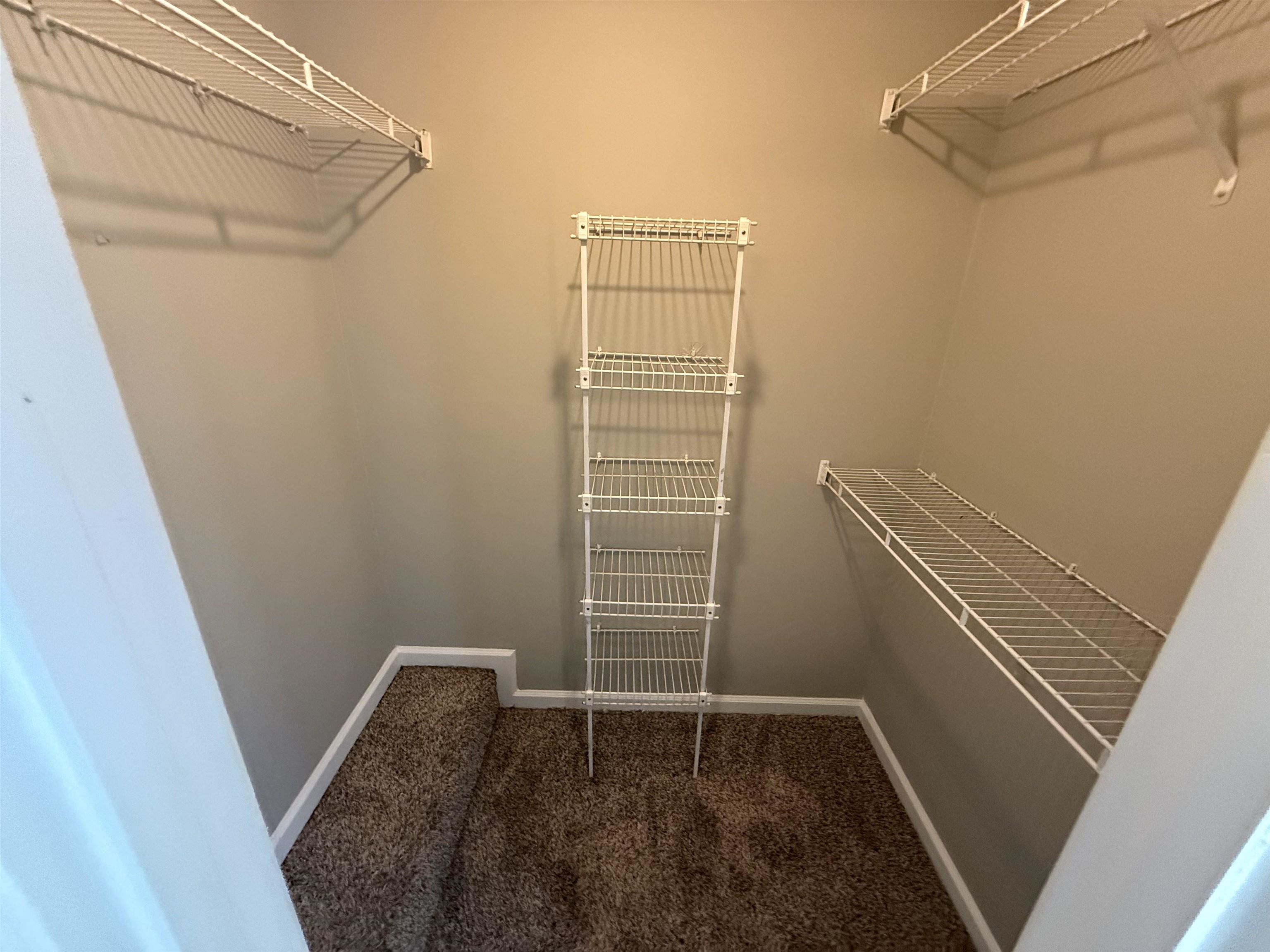 6420 Saginaw Road Memphis, TN 38134 - Photo 32 of 38 Carpeted closet space featuring multiple wire shelving units