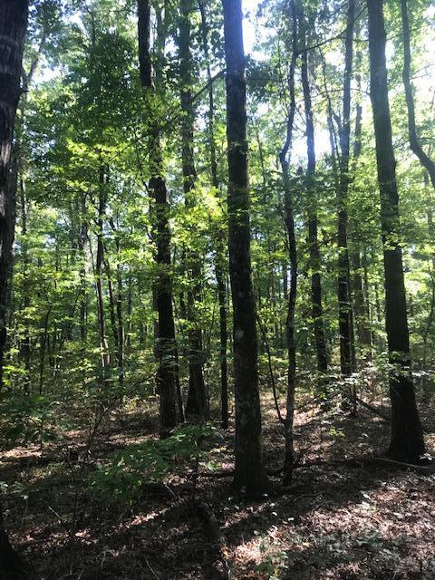 Lot 1 Laurel Lake Road, Unit 1 Monteagle, TN 37356 - Photo 1 of 1 IMG_4543