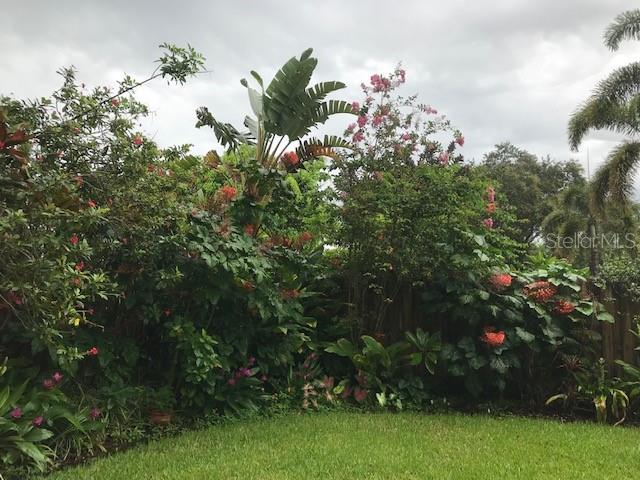 610 Pine Ranch East Road Osprey, FL 34229 - Photo 50 of 64 Lush Landscaping