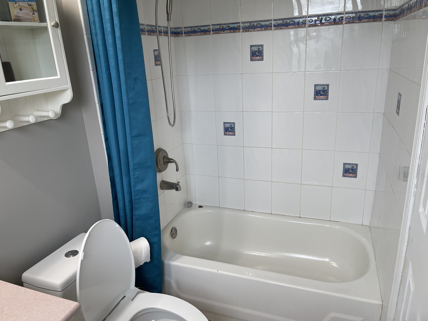3523 Ronald Road Crete, IL 60417 - Photo 13 of 20 a bathroom with a bathtub and a shower
