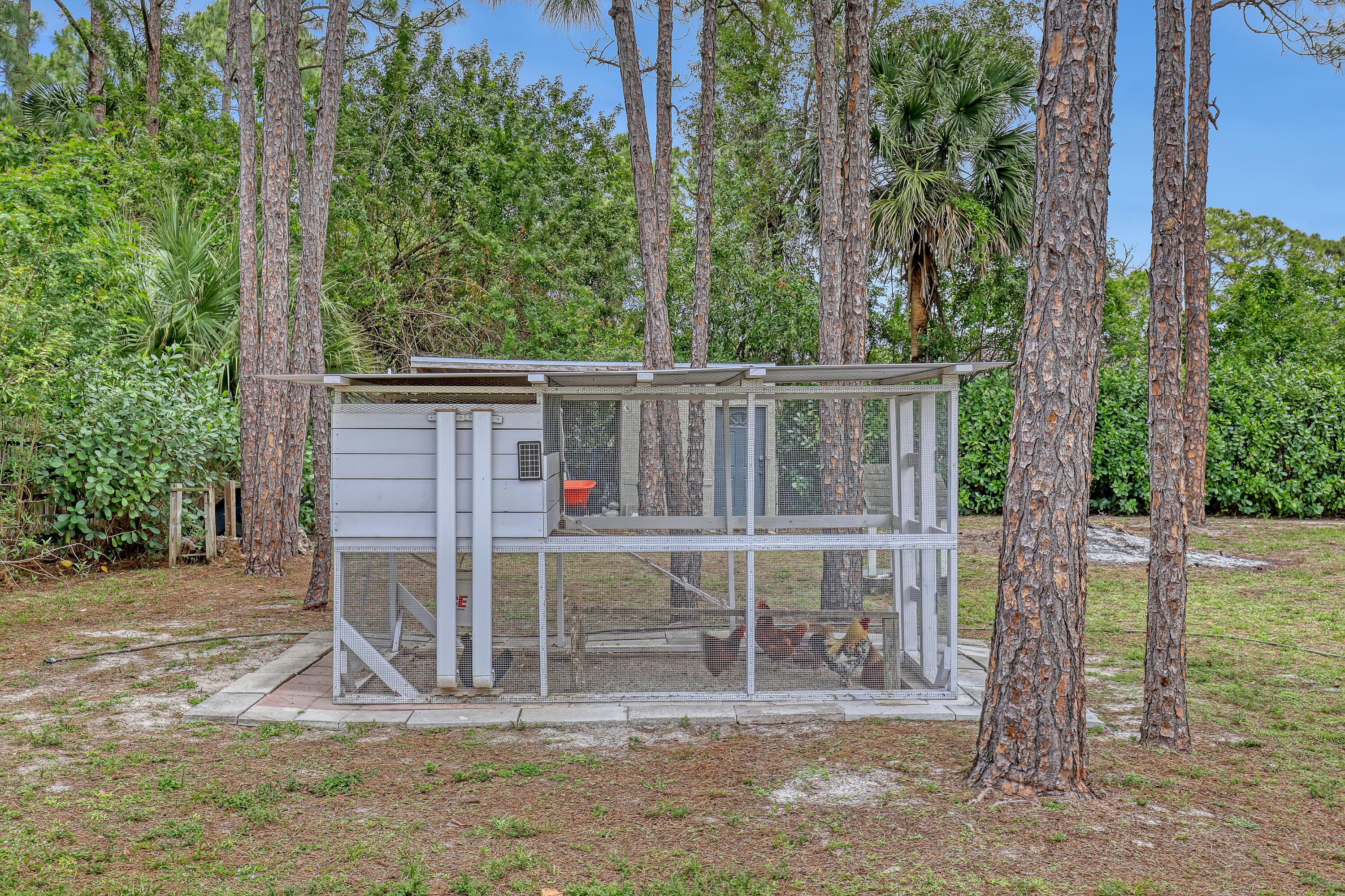 17271 88th Road North The Acreage, FL 33470 - Photo 54 of 70 17271 88th (64)