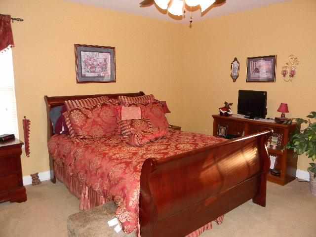 111 Bean Mill Way Anderson, SC 29625 - Photo 11 of 21