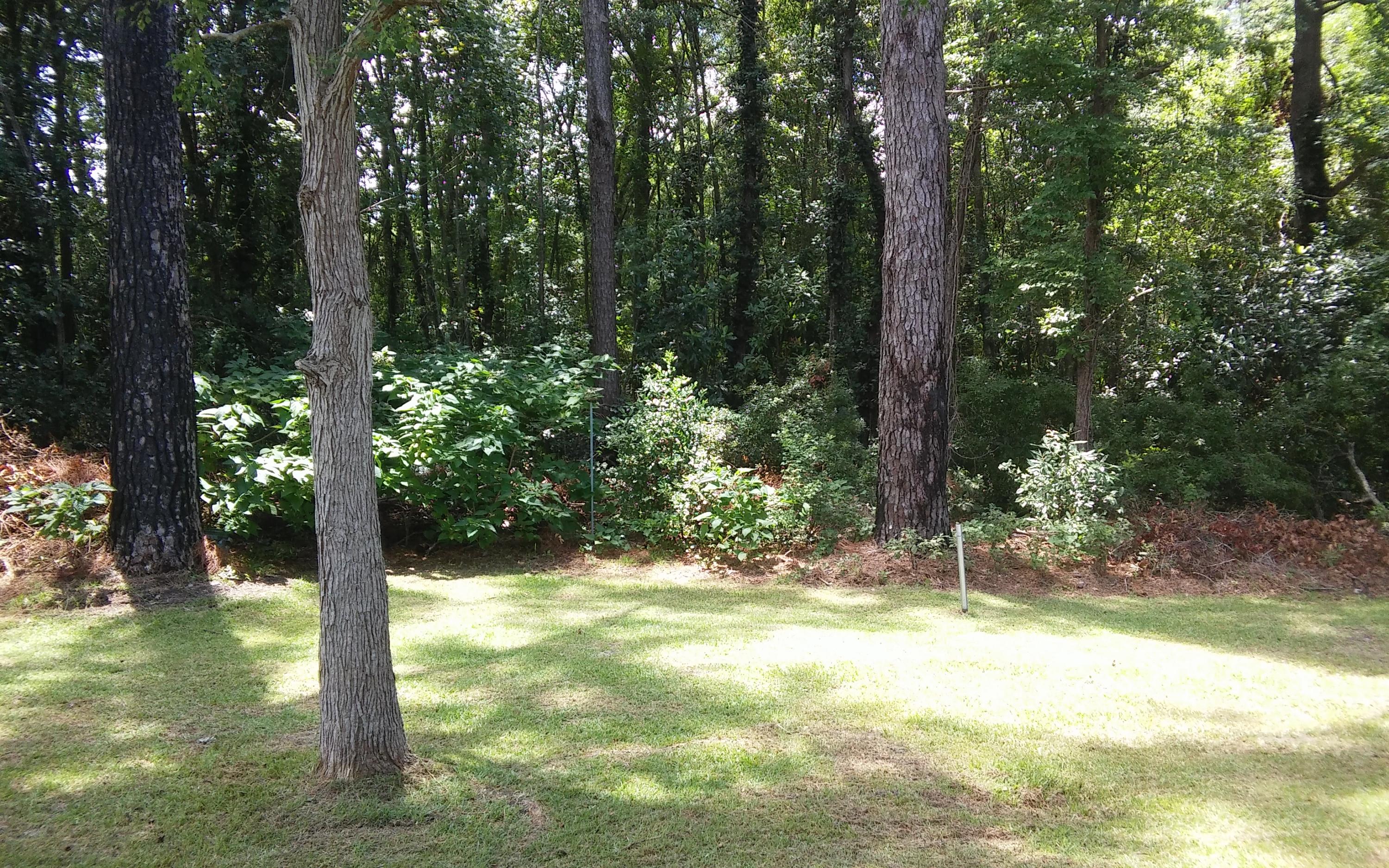 665 Dandridge Road Walterboro, SC 29488 - Photo 4 of 20 0805161334a