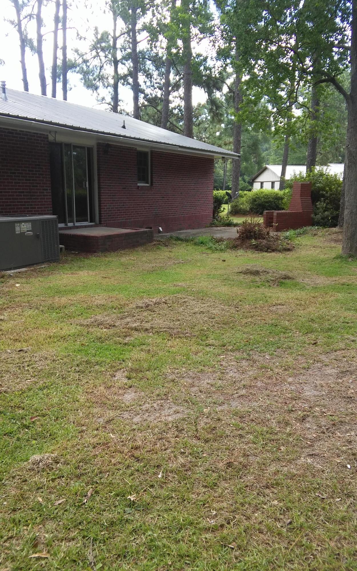 665 Dandridge Road Walterboro, SC 29488 - Photo 6 of 20 0716161008b