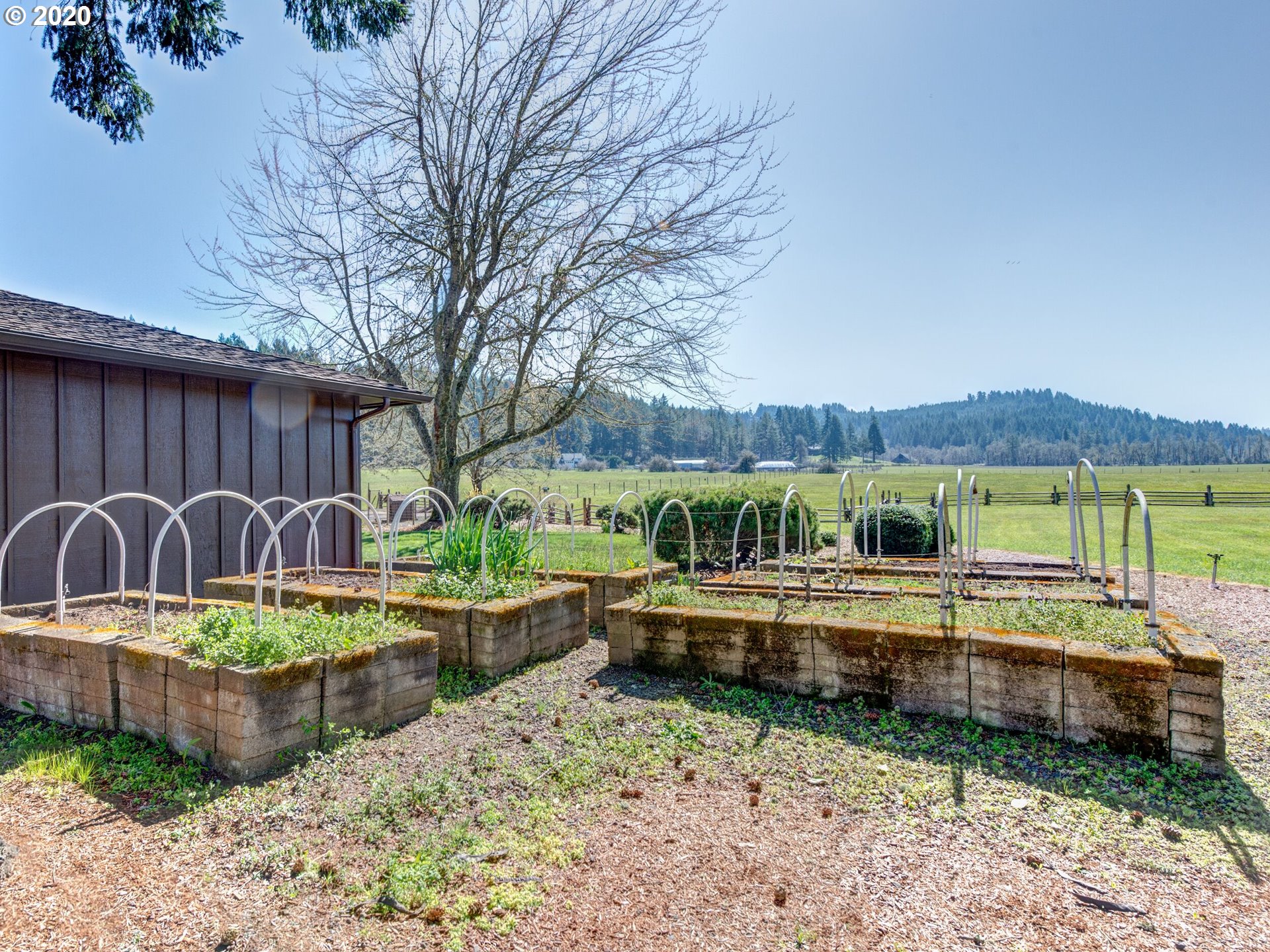 28784 Summerville Road Eugene, OR 97405 - Photo 14 of 26 a backyard of a house with yard fire pit and outdoor seating