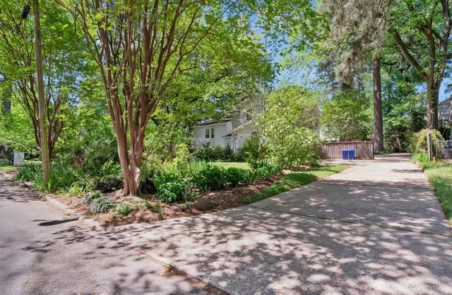 a view of road with large trees