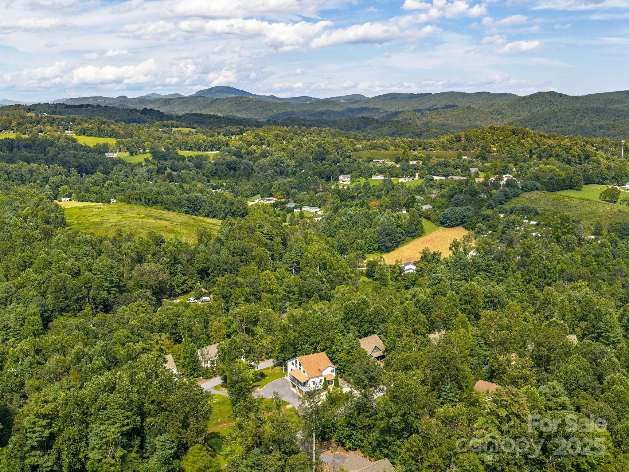 248 Wisdom Cove Road Flat Rock, NC 28731 - Photo 45 of 46