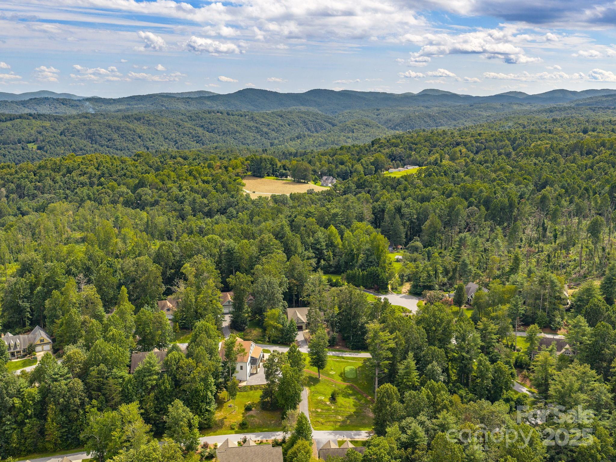 248 Wisdom Cove Road Flat Rock, NC 28731 - Photo 46 of 46