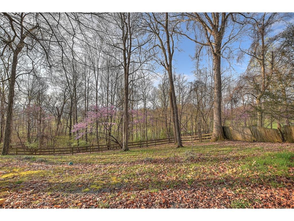 270 Slagle Road Elizabethton, TN 37643 - Photo 34 of 36 Photo 34