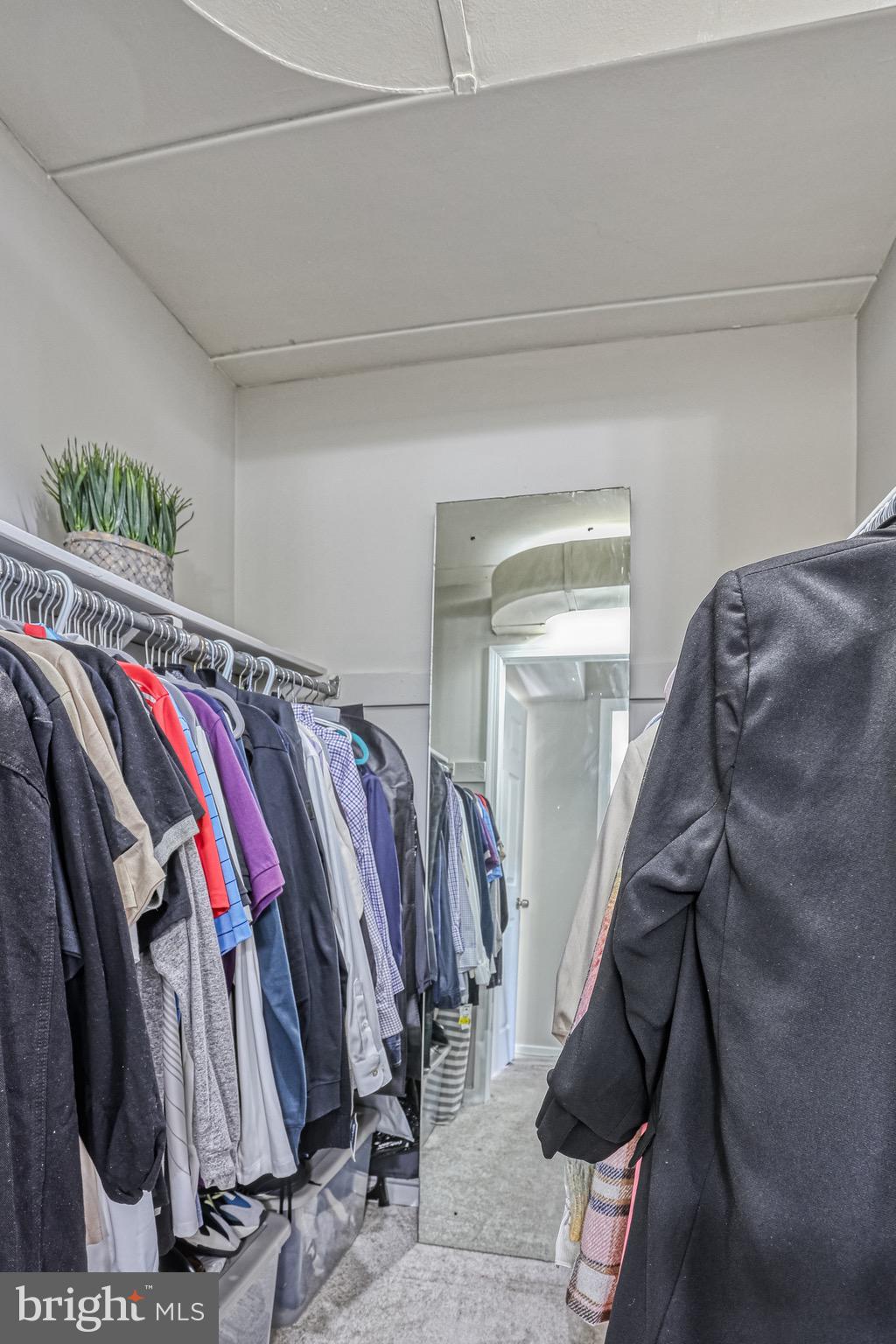 3322 Hewitt Avenue, Unit 72B Silver Spring, MD 20906 - Photo 15 of 29 Owner's Walk In Closet.